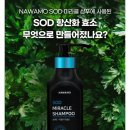 나와모랩