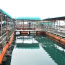 매일좌대 이미지