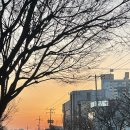 효은농장 이미지