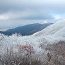 옥계당구장 이미지