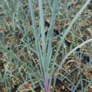 조슈아농장 이미지