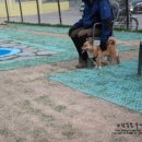 욱이샾