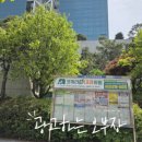 코끼리속내과의원 네이버블로그