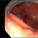 이성우내과의원 이미지