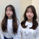 플러터헤어