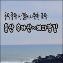 정자항 공원 이미지