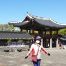 버스정류소_중앙로(현대약국) 이미지