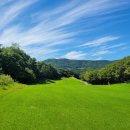 포천아도니스 C.C 이미지