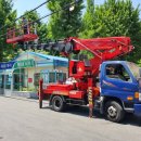 조야분소 이미지