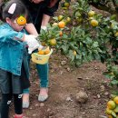 해맑은농장 이미지