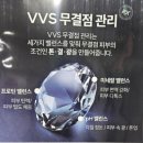 비룸스킨