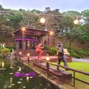 여주-0827 이미지