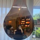 헤어천연염색전문점 | 울산 임산부 전문 천연염색 가능한 곳 CCW헤어 내돈내산 후기