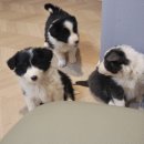 폼스하우스 이미지