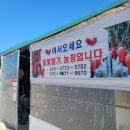 월롱농장 | 딸기농장체험 가격 경기도 파주 초대형 월롱 딸기체험농장 네이버예약