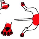 초읍동물병원 이미지