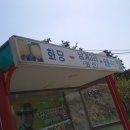 금호송어장 이미지