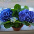 의료법인동오의료재단 도움요양병원 이미지