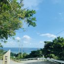 슈리하우스