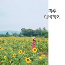 가야4리 이미지