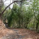 반구정입구 이미지