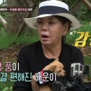 해피댕댕이 네이버블로그