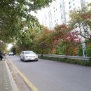 도림로 이미지