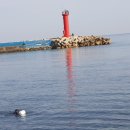 용두1리 이미지