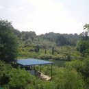 개정동사무소 이미지