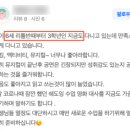 내안에잉글리시영어교습소