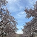 경마공원 | 과천 렛츠런파크 경마공원 후기 / 아이랑 가볼만한곳(+입장료,무료팁)