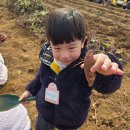 윤가농장 이미지