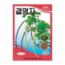 씨앗 이미지