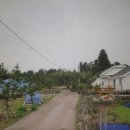 성읍리-25 이미지