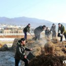 진군농장 이미지