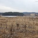 가남현진에버빌공인중개사사무소 이미지