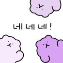 하얀꽃집 이미지