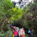 표선면-12 | [걸어서서귀포한바퀴] 10월 12일 표선면 성읍리 성읍마을둘레길 후기