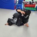 튼튼합기도 이미지