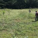 자두나무농장 이미지