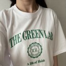 더그린세탁 이미지