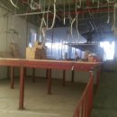 코끼리901약국 이미지