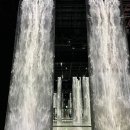 더딜라이트
