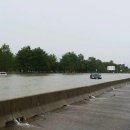 [미국 텍사스주 폭우] 휴스턴 토이 도그쇼 취소 / 켄넬 대피 이미지