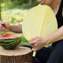 와이피케이글로벌 이미지