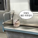 (주)한옥과문화 이미지