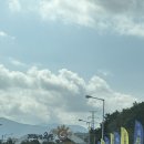 완도 | 완도 당일치기 가족여행 코스 추천 완도해양치유센터 후기