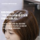 새치!흰머리는 나보다 남의 눈에 더 잘띕니다🥰붉은끼없는 애쉬캐롭브라운 전문샵🥰퍼스널염색 전문샵🥰 이미지