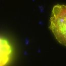 우주바이오(주) 이미지