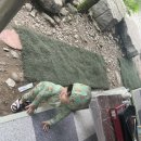 소양강가든 이미지